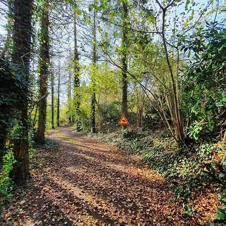 Blauer Mit Optionalem Hot-tub בית נופש *