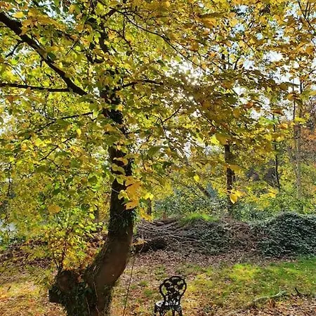 Blauer Mit Optionalem Hot-tub Holiday home *