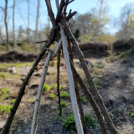 Holiday home Blauer Mit Optionalem Hot-tub