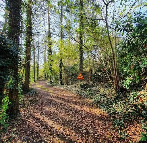 Blauer Mit Optionalem Hot-tub Feriehus *