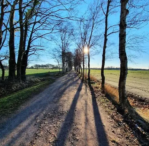 Blauer Mit Optionalem Hot-tub Feriehus Bockhorn (Lower-Saxony)