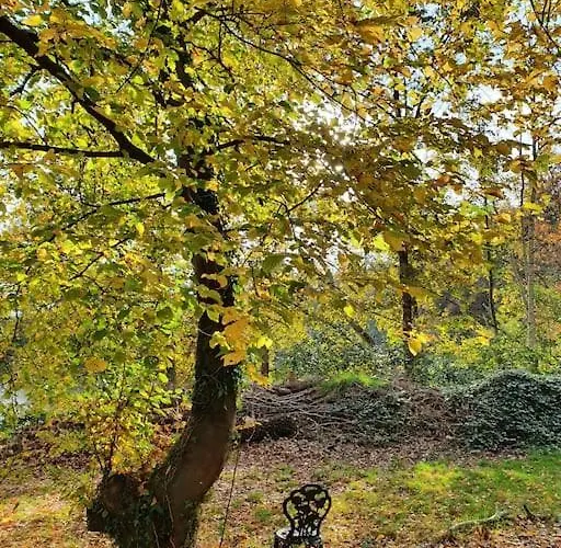 Blauer Mit Optionalem Hot-tub Vakantiehuis *