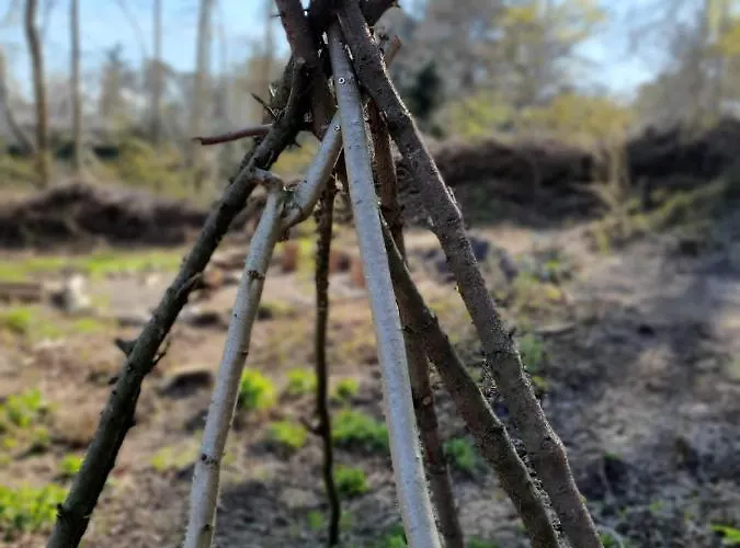 Feriehus Blauer Mit Optionalem Hot-tub